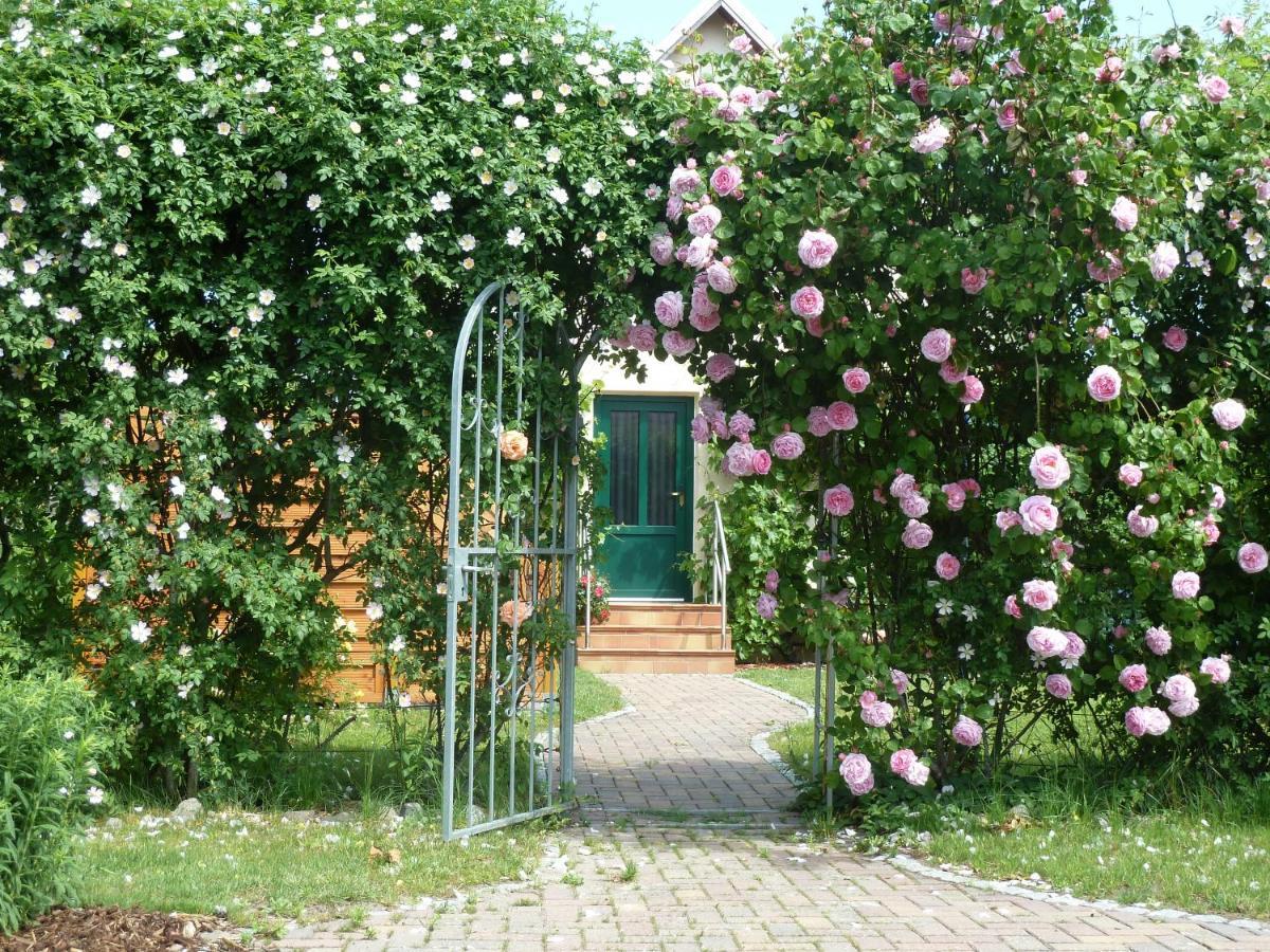 Apartament Ferien Auf Ruegen Familie Geist Garz  Zewnętrze zdjęcie